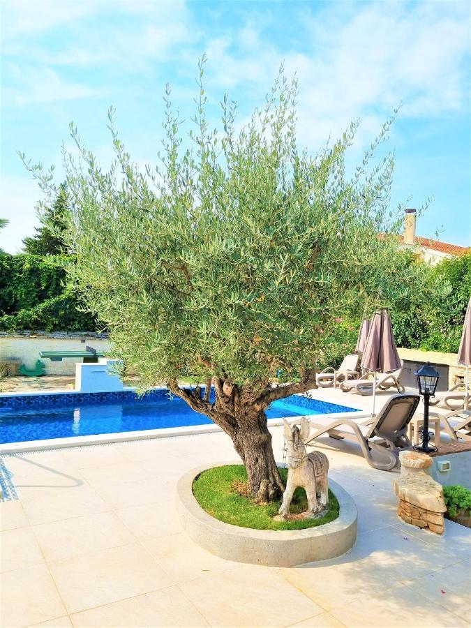 Apartment Villa Engel With Pool Poreč Dış mekan fotoğraf